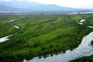 大佳河自然保護區 大佳河自然保護區