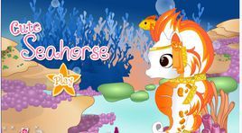 可愛的小海馬 可愛的小海馬