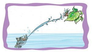 魚中神槍手-射水魚 魚中神槍手-射水魚