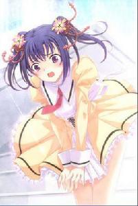 雙見菖蒲 雙見菖蒲