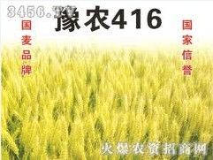 豫農416