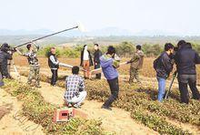 紅崖子鄉[興城市紅崖子鎮]