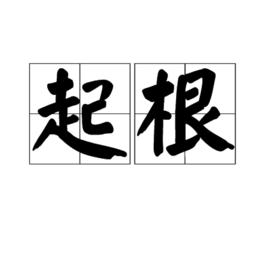 起根 起根