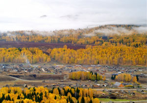 沙漠植物風情園