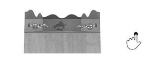 在通了直流電的水中，魚主動游向正極