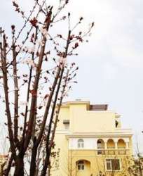 蔚藍海岸羅納河谷 蔚藍海岸羅納河谷