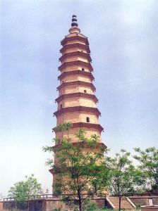 中國枸杞之鄉—中寧 中國枸杞之鄉—中寧