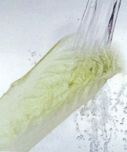 維生素E缺乏神經病