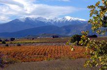 密內瓦(Minervois)