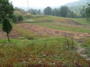 龔家沖村 龔家沖村