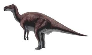 阿拉善原巴克龍 阿拉善原巴克龍