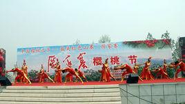 厲家寨櫻桃節 厲家寨櫻桃節