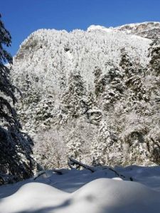 白雪皚皚[車逕行執導電視劇]