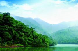 銀瓶嘴森林公園 銀瓶嘴森林公園