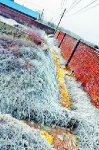 10·13河南濮陽廢棄化工廠毒氣泄漏事故 10·13河南濮陽廢棄化工廠毒氣泄漏事故