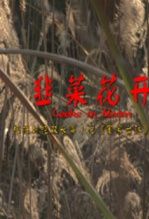 韭菜花開 韭菜花開