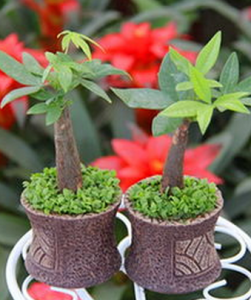 夏莊田園 夏莊田園