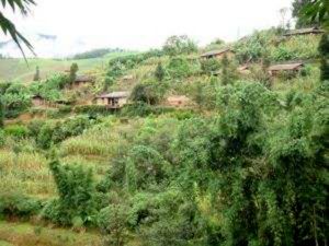 用龍自然村 用龍自然村