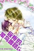 反叛的菜鳥魯路修 反叛的菜鳥魯路修