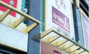 華強南1號 華強南1號