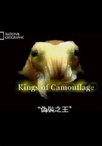 偽裝之王 偽裝之王