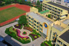 采荷三小 采荷三小