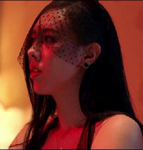 潘銀蓮監控事件