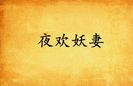 夜歡妖妻 夜歡妖妻