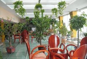 山西運城鬱金香酒店 山西運城鬱金香酒店