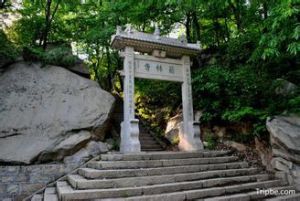 藥嶺寺森林公園 藥嶺寺森林公園