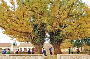 槐樹店村 槐樹店村