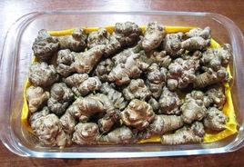 靖西田七 靖西田七