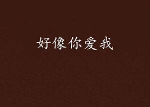 好像你愛我 好像你愛我