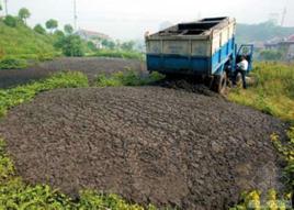 污泥處置 污泥處置