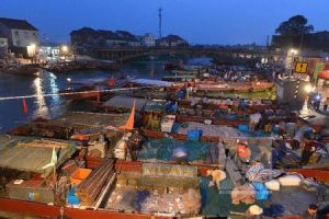 魚新塘自然村 魚新塘自然村