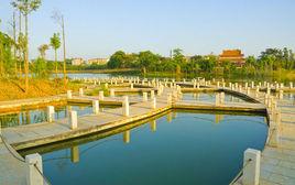 來賓市金海公園 來賓市金海公園