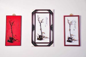 金漆木梅花 金漆木梅花