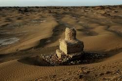 尼雅古城 尼雅古城