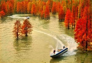 青山湖國家森林公園 青山湖國家森林公園
