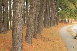 理工農醫類 理工農醫類