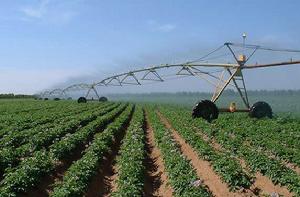 第一產業 第一產業