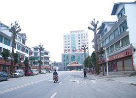 黃泥塘鎮[貴州省大方縣黃泥塘鎮]