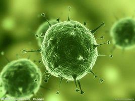 三十億年的戰爭 三十億年的戰爭