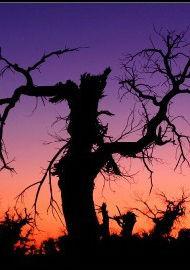 大漠孤煙長河落日 大漠孤煙長河落日