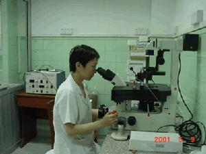 原發性骨髓纖維化症 原發性骨髓纖維化症