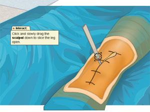 醫生調查 醫生調查