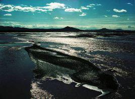 溯源[詞語釋義]