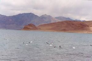 拉昂錯景區 拉昂錯景區