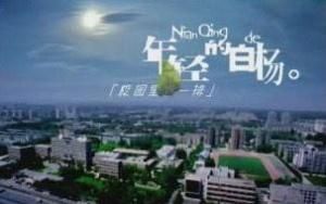 年輕的白楊 年輕的白楊