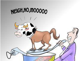 牛首馬肉 牛首馬肉